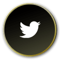 twitter link icon